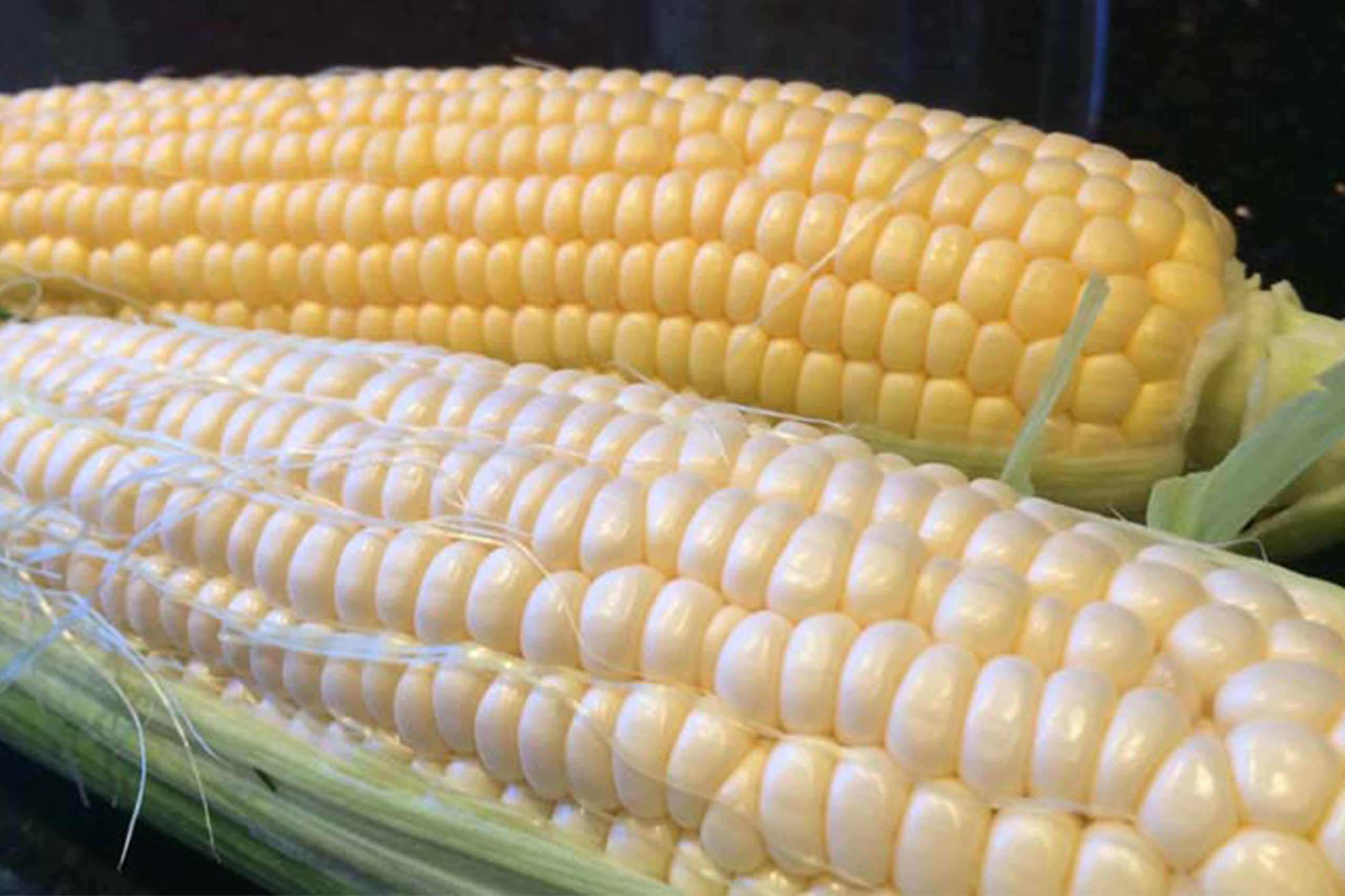 corn-min